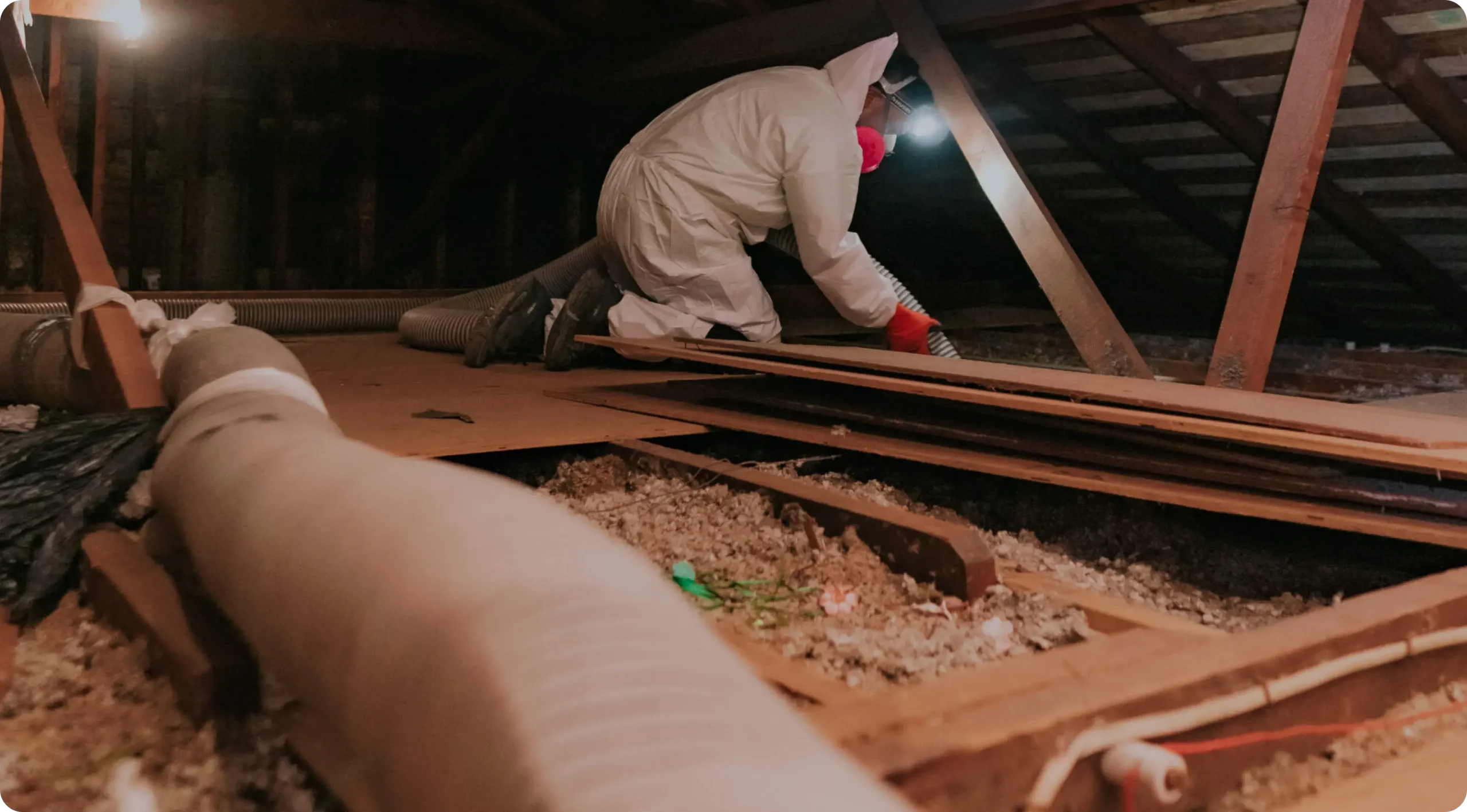 Trusted Experts in Attic and Rodent Control Across California​