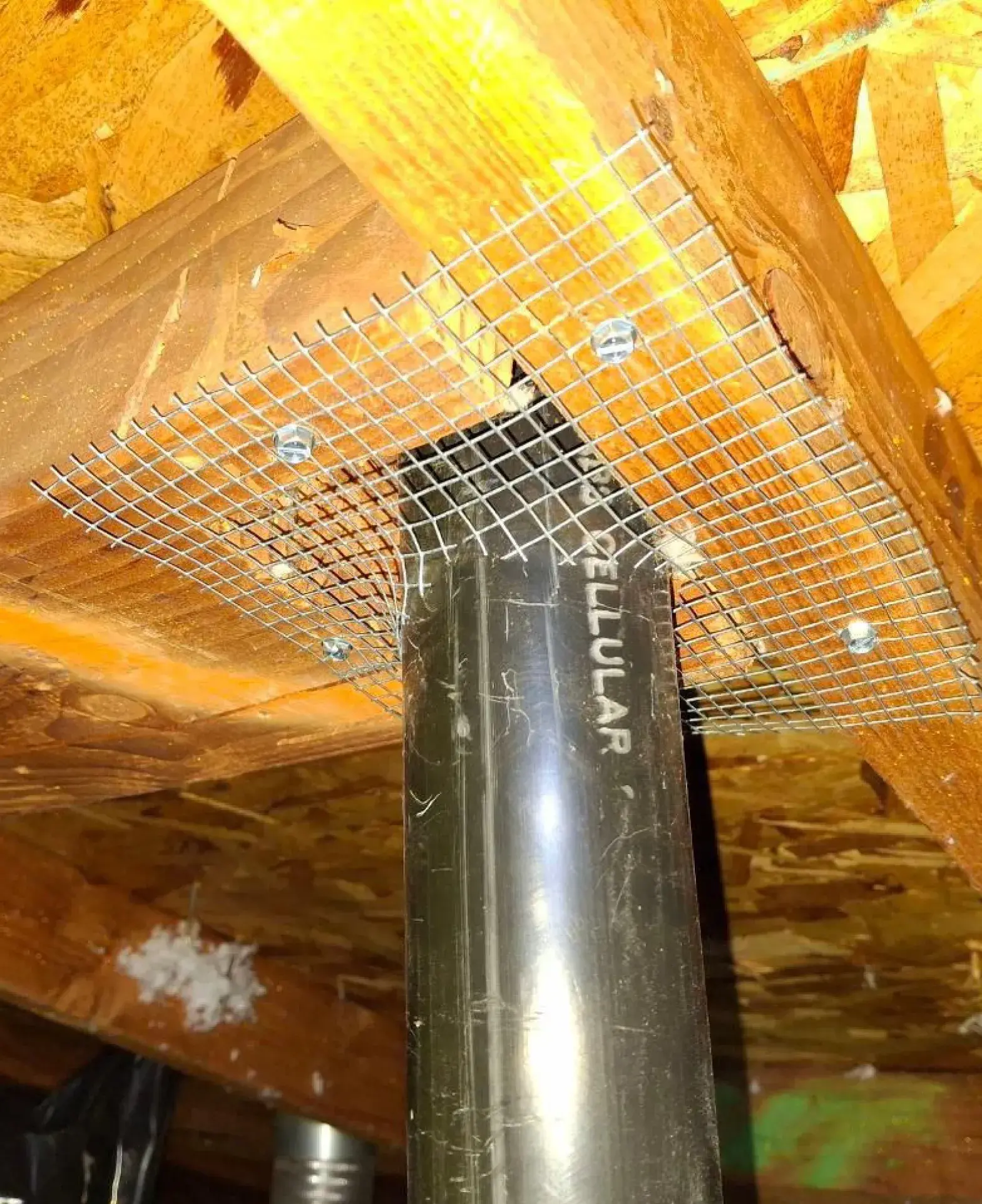 How We Permanently Seal Out Rodents in Modesto CA