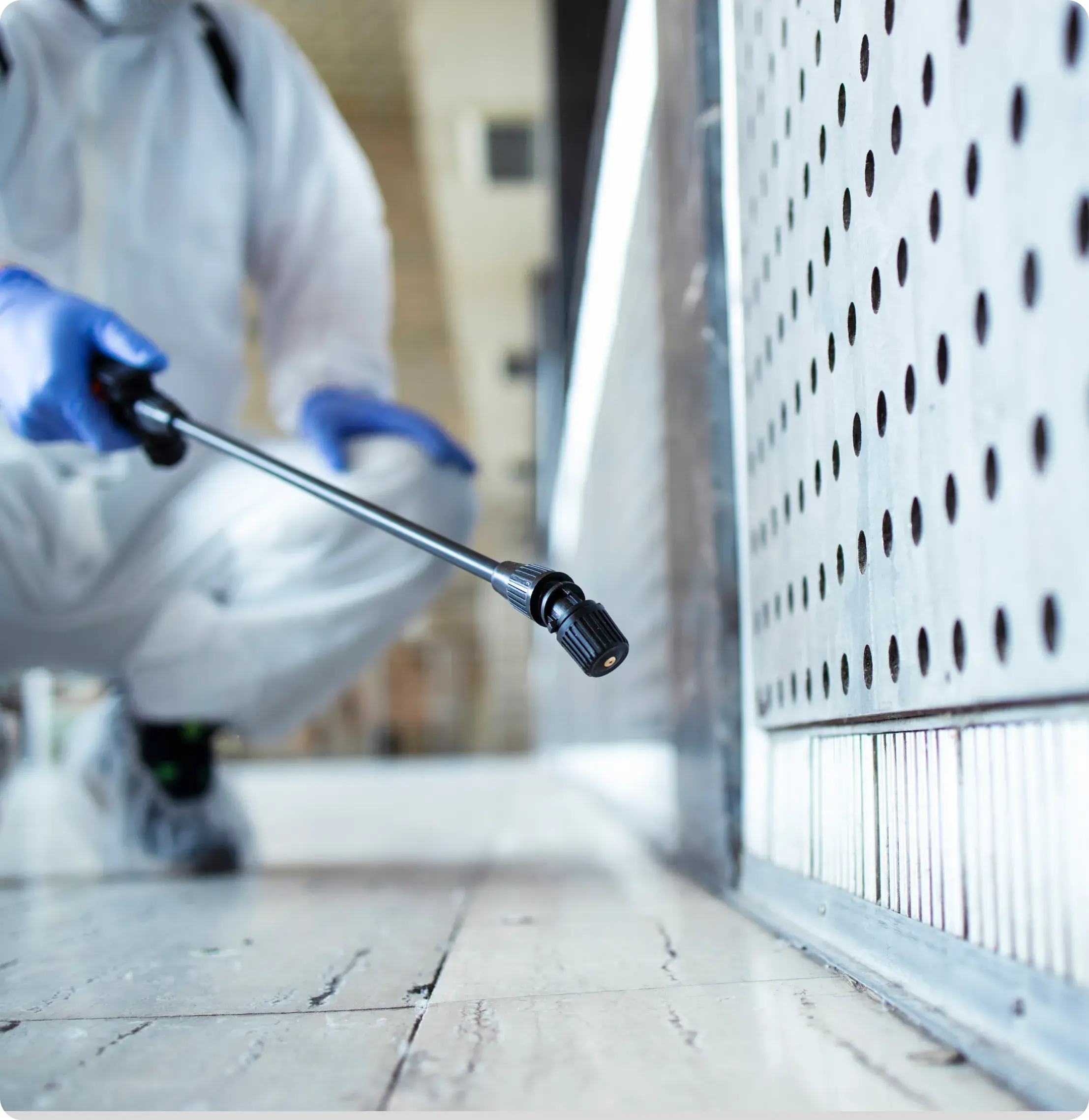 Why Choose CA ATTIC SOLUTIONS for Rodent Proofing in Central Valley?