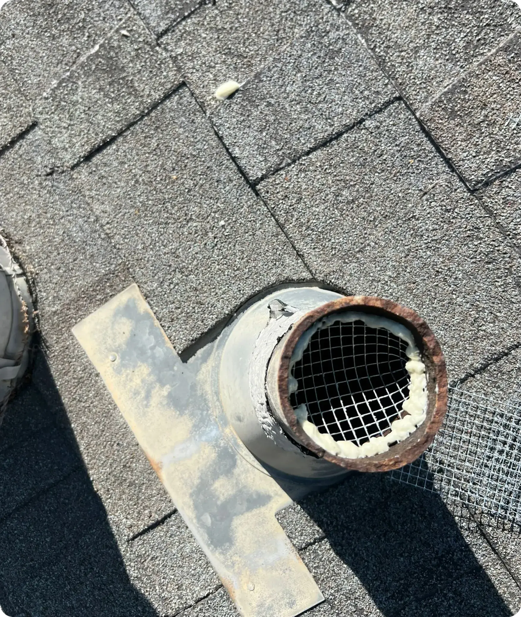 Why Rodent Proofing Matters for Stockton Properties