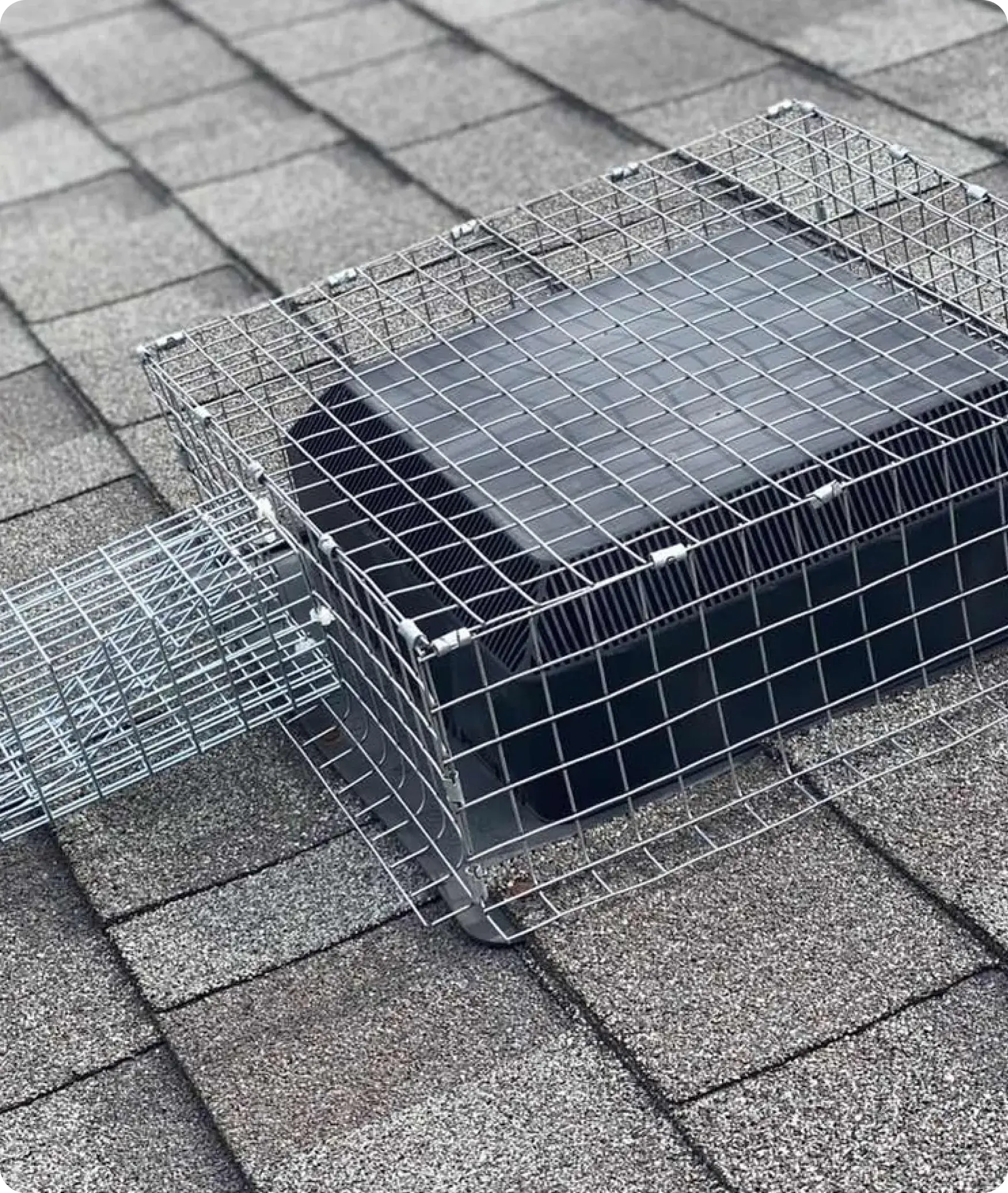 Why Rodent Proofing Matters for Turlock Properties